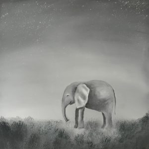 Elefante